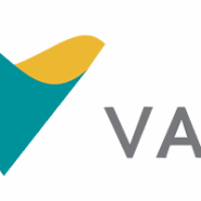 Vale Mining Logo