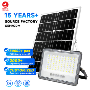 Emergency IP65 Waterproof 100W/200W LED Flood light Exterior Radar